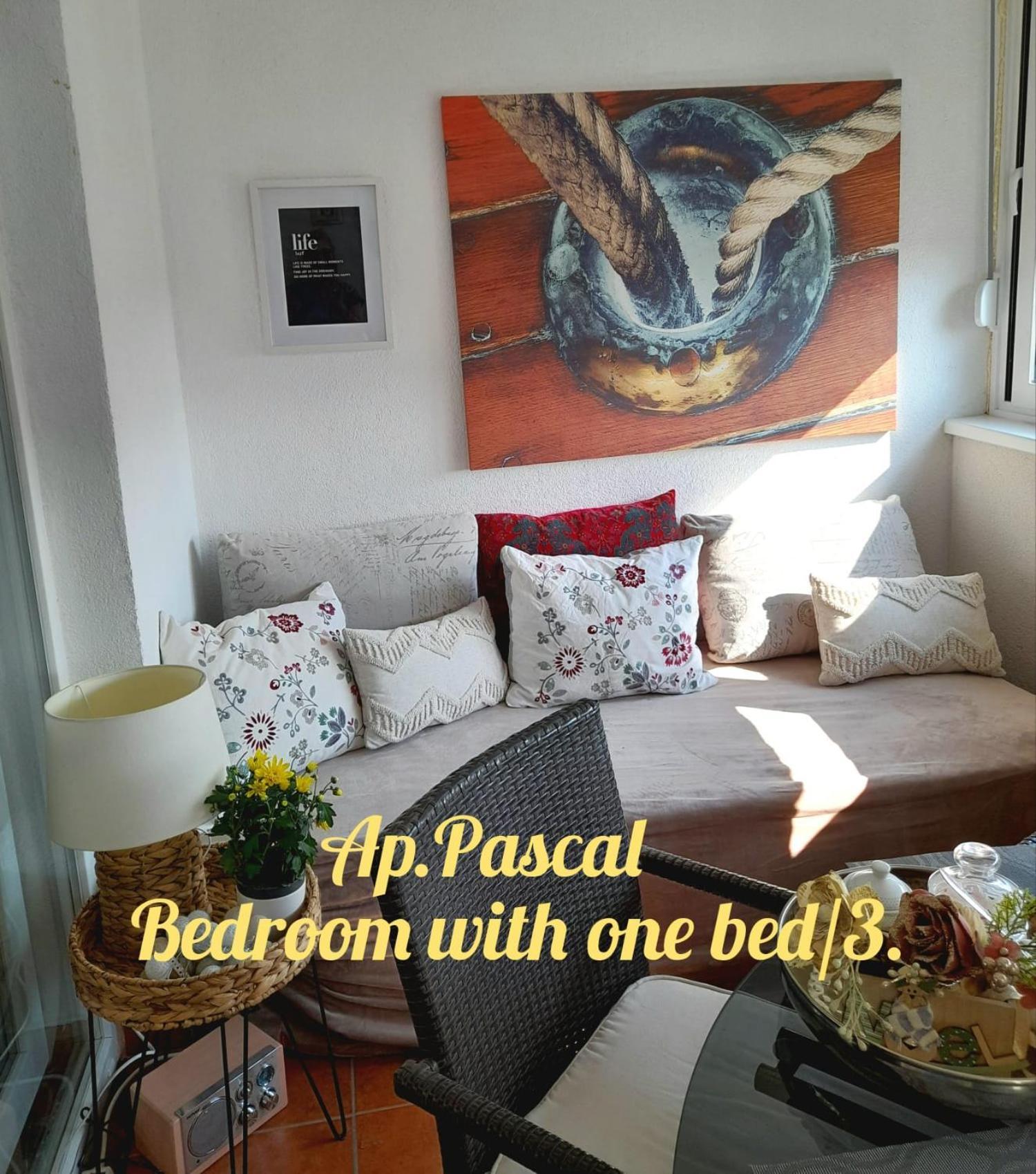 Apartments Marcus & Pascal 希贝尼克 外观 照片
